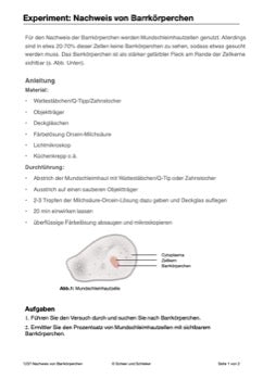 Geschlechtszellen und Befruchtung - Gruppenpuzzle (55 MB)