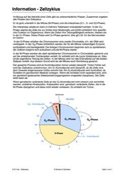 Zellzyklus und Embryonalstadien (156 MB)