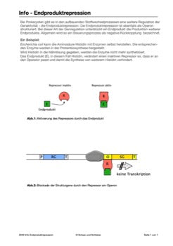 Genregulation (34 MB)