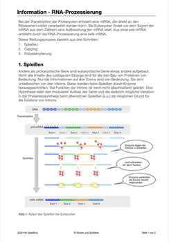 Genregulation (34 MB)