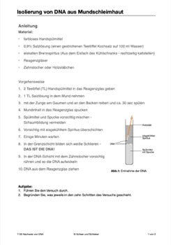 DNA und Chromosomen (4 MB)