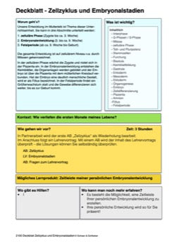 Zellzyklus und Embryonalstadien (156 MB)