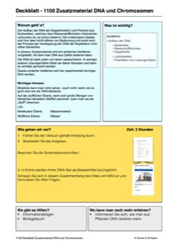 DNA und Chromosomen (4 MB)