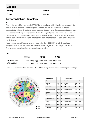 Genetik - Pontozerebelläre Hypoplasie