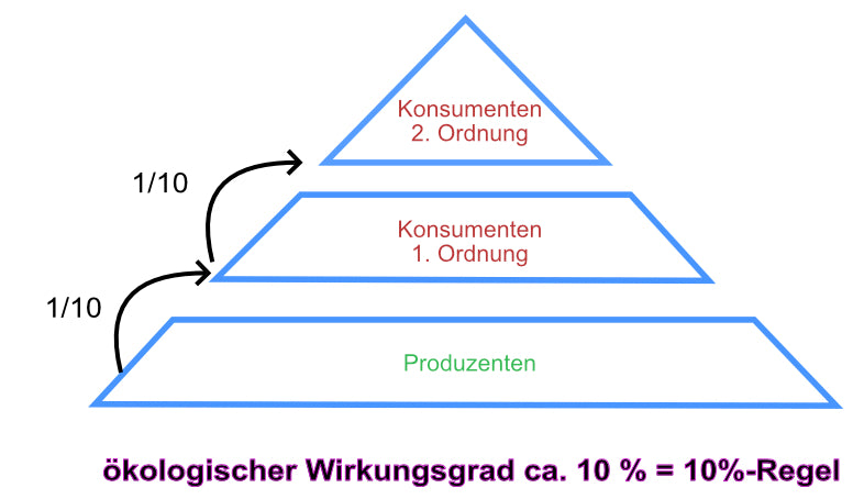 Einfluss des Menschen - Stoffkreisläufe und Energiefluss (33 MB)