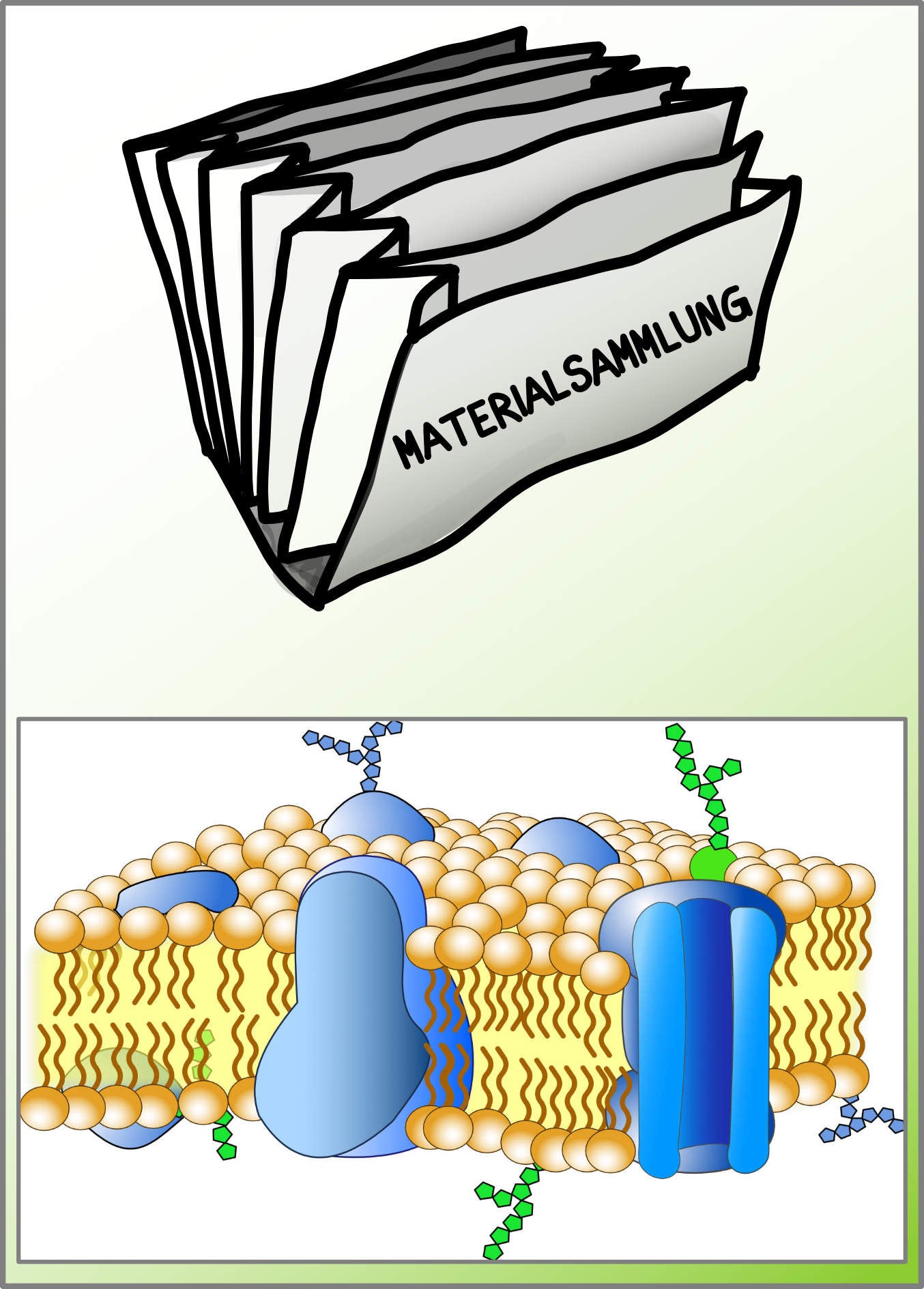 Biomembranen komplett (Einzellizenz)