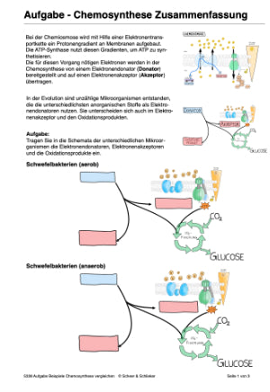 Chemosynthese (188 MB)