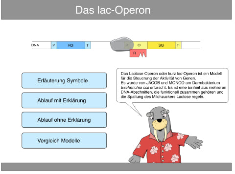 Lac Operon Animation