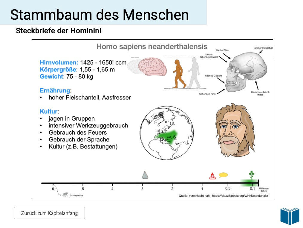 Evolution des Menschen (18 MB) - Einzellizenz