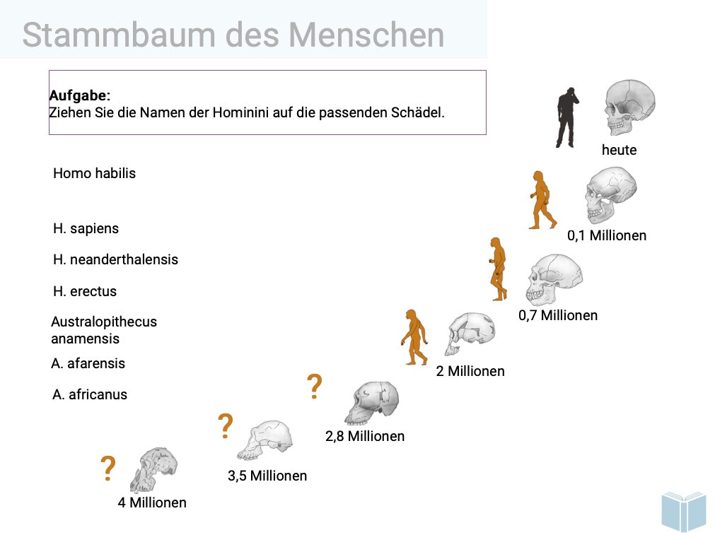 Evolution des Menschen (18 MB) - Einzellizenz