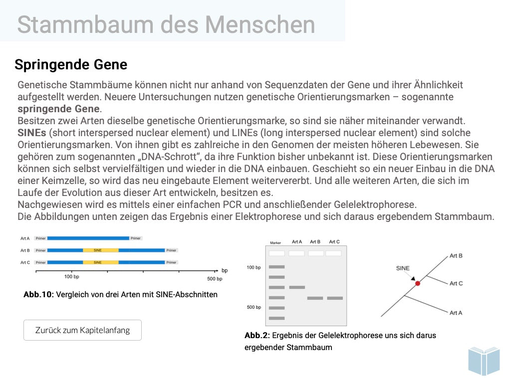 Evolution des Menschen (18 MB) - Einzellizenz