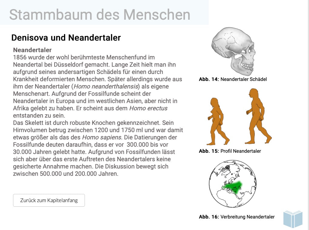 Evolution des Menschen (18 MB) - Einzellizenz