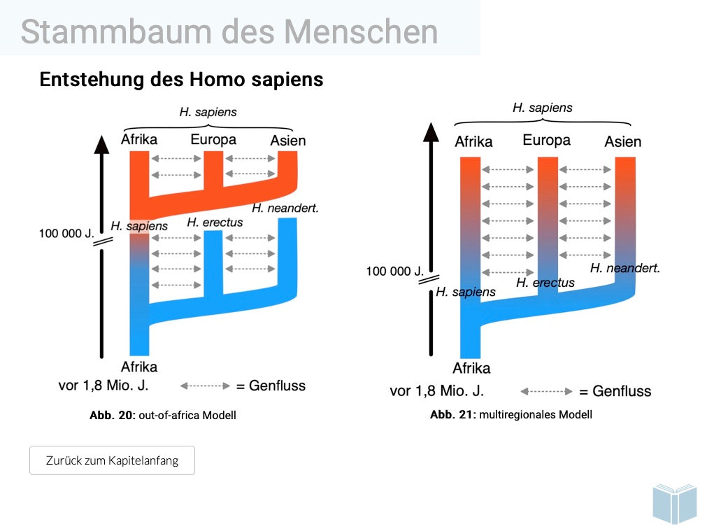 Evolution des Menschen (18 MB) - Einzellizenz