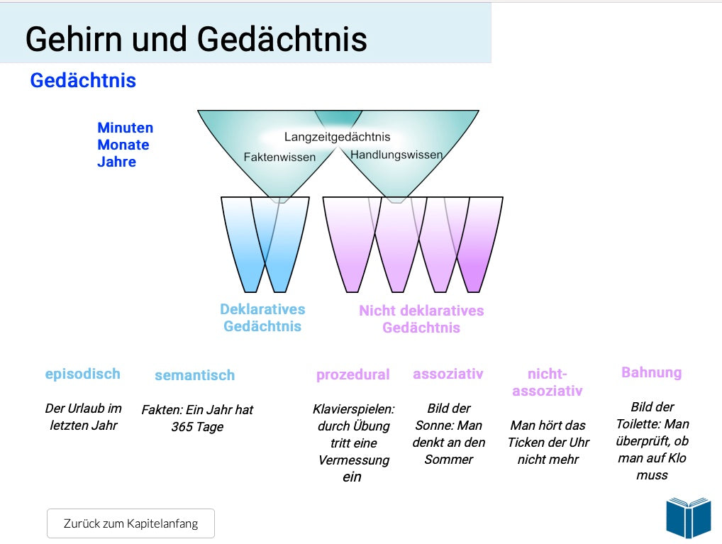 Evolution des Menschen (18 MB) - Einzellizenz