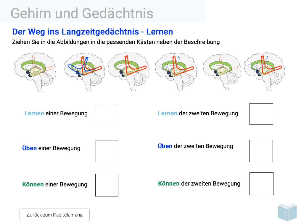 Evolution des Menschen (18 MB) - Einzellizenz