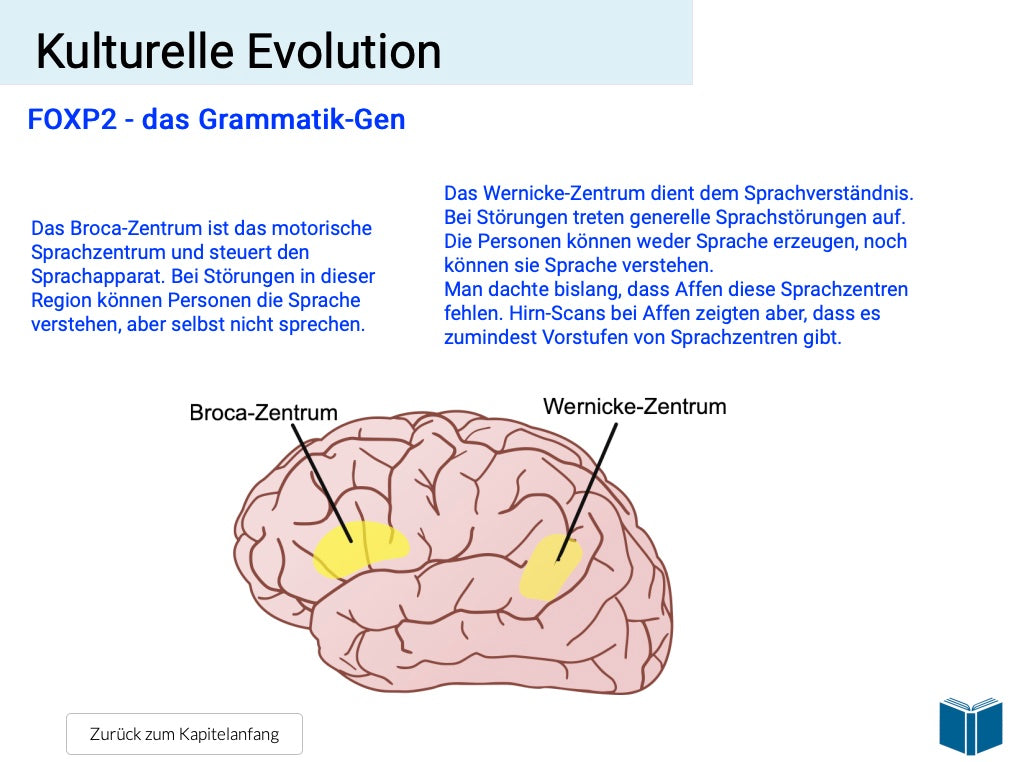 Evolution des Menschen (18 MB) - Einzellizenz