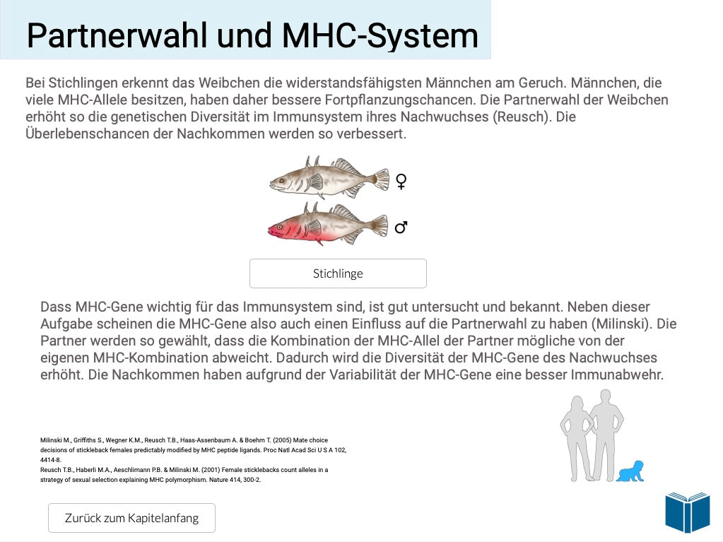 Evolution des Menschen (18 MB) - Einzellizenz